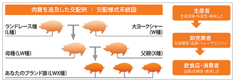サービス内容