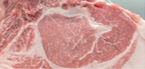 流通している肉の遺伝型判定のメリット
